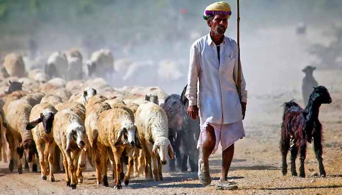 Jodhpur tour with Bishnoi village