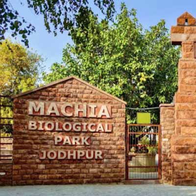 Machia Biological Park Jodhpur