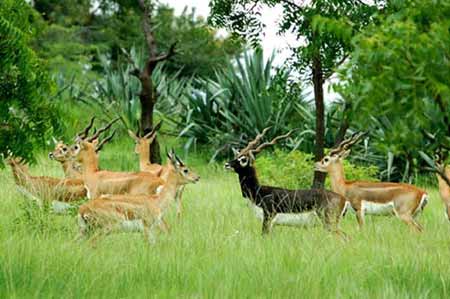 Jodhpur Private Day Tours